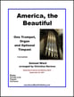 America The Beautiful P.O.D. cover
